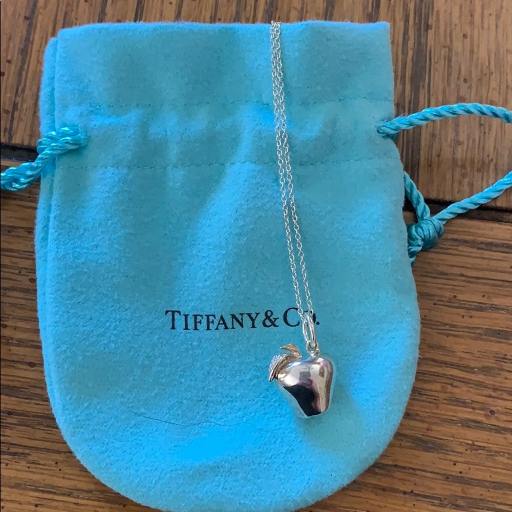 Authentic Tiffany’s and Co apple charm necklace